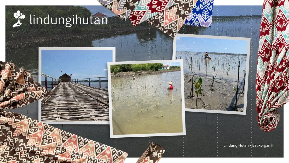 Kegiatan penanaman pohon bersama Lindungi Hutan